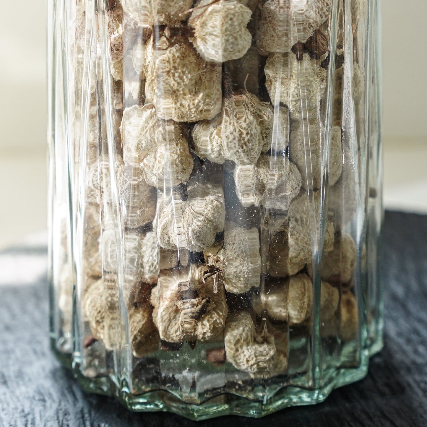 Dried Cream Pumpkins in Bag