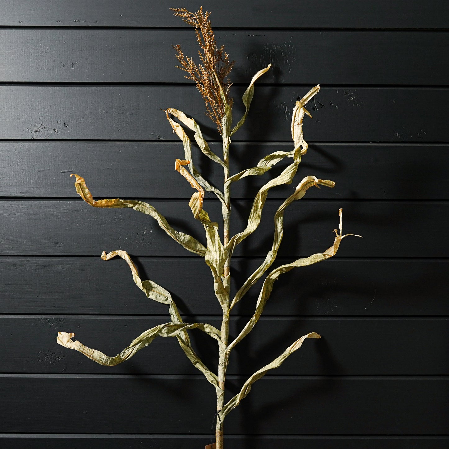 Faux Cornstalk