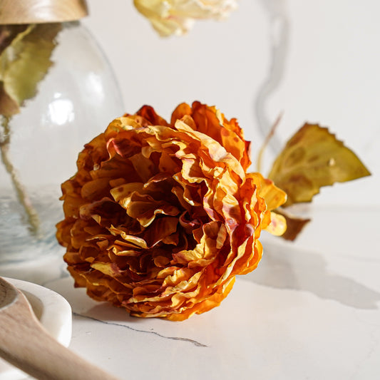 Fall Peony Stem | Orange