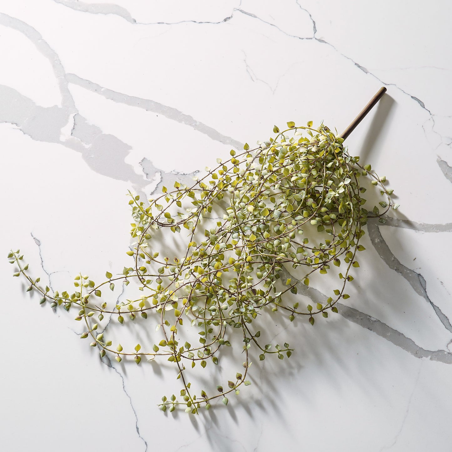 Little Vine Hanging Pick