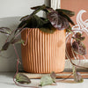 Terra Cotta Ribbed Planter