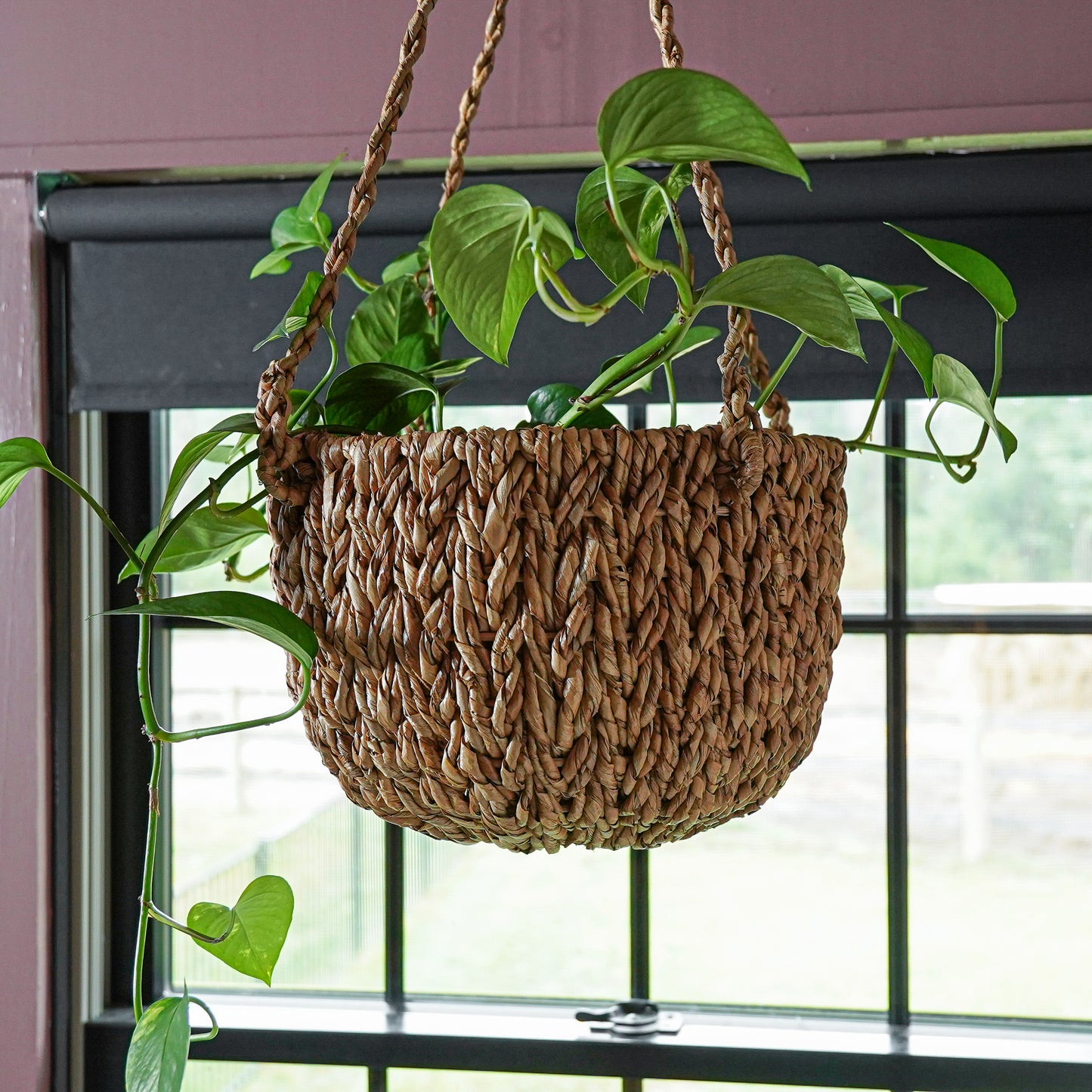 Riley Hanging Woven Basket