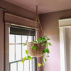 Riley Hanging Woven Basket