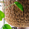 Riley Hanging Woven Basket