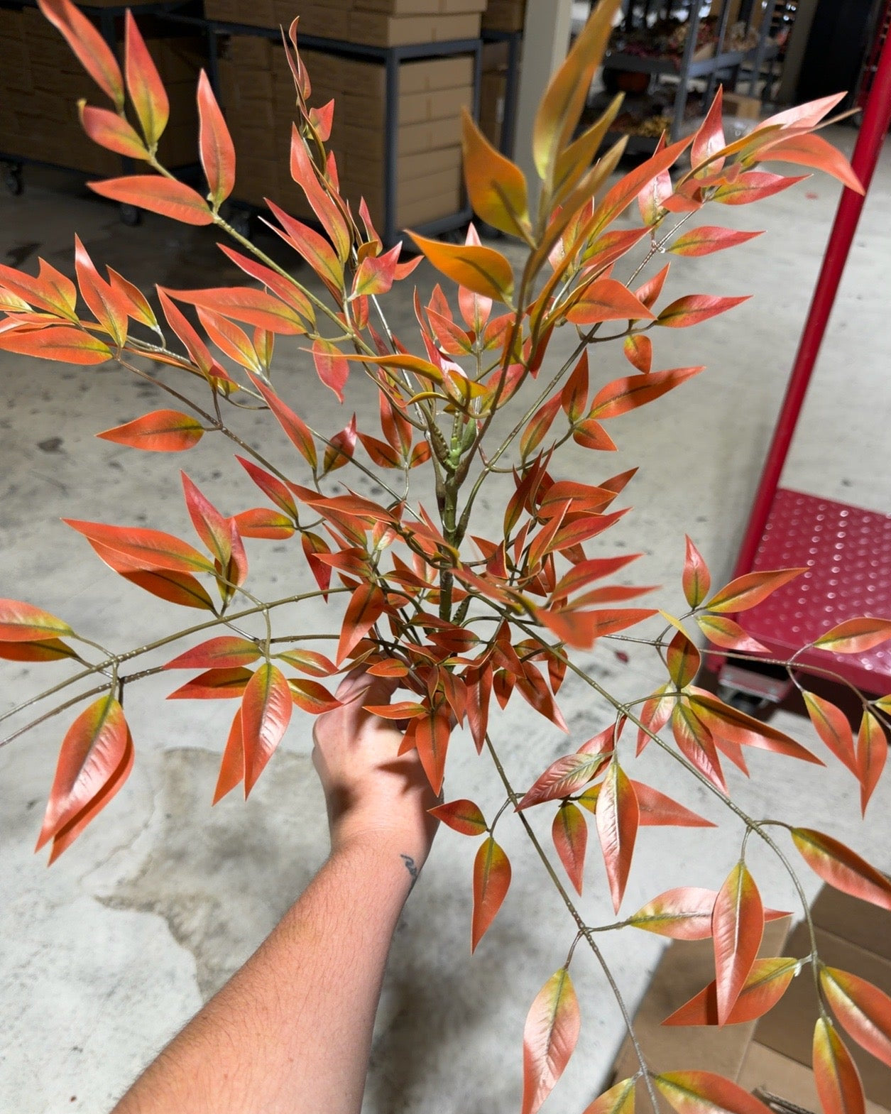 Autumn Maple Leaf Branch