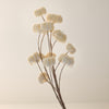 Flocked Cream Clematis Spray