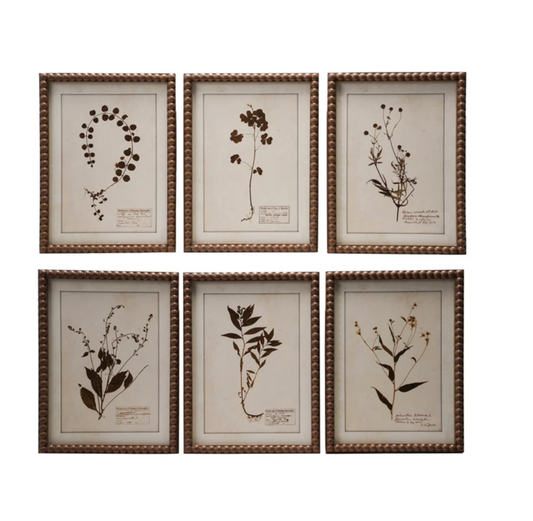 Framed Botanical Print Wall Decor | Individual
