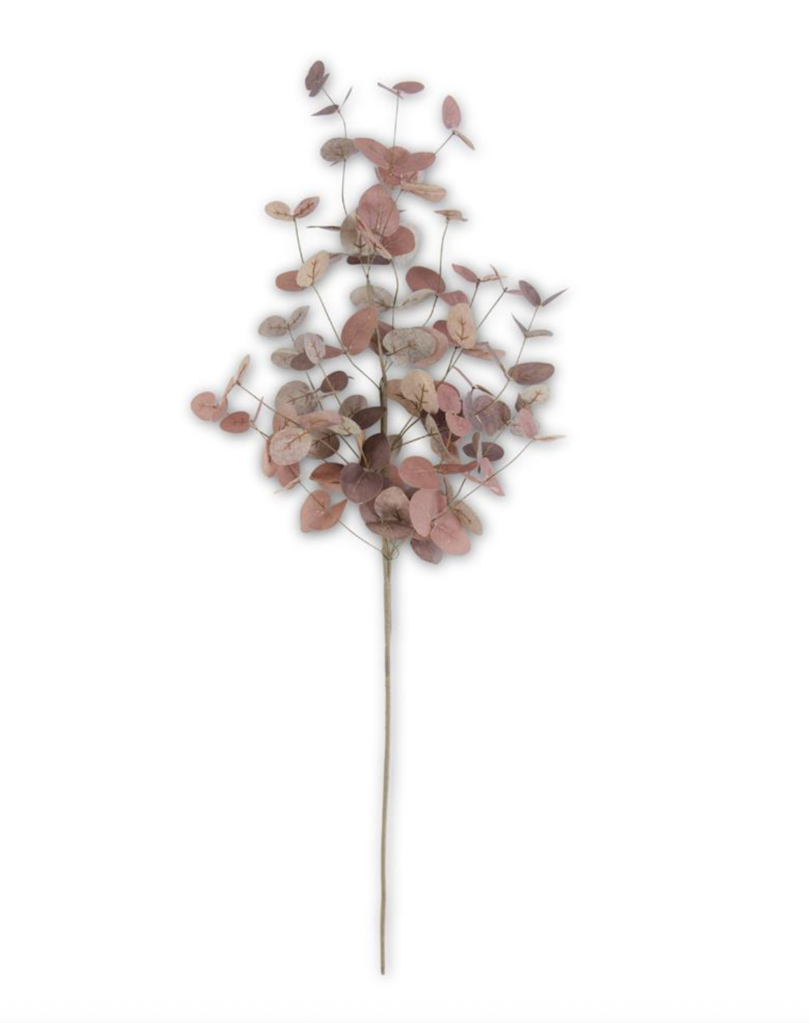 Burgundy Two Tone Eucalyptus Stem