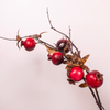 Faux Pomegranate Spray