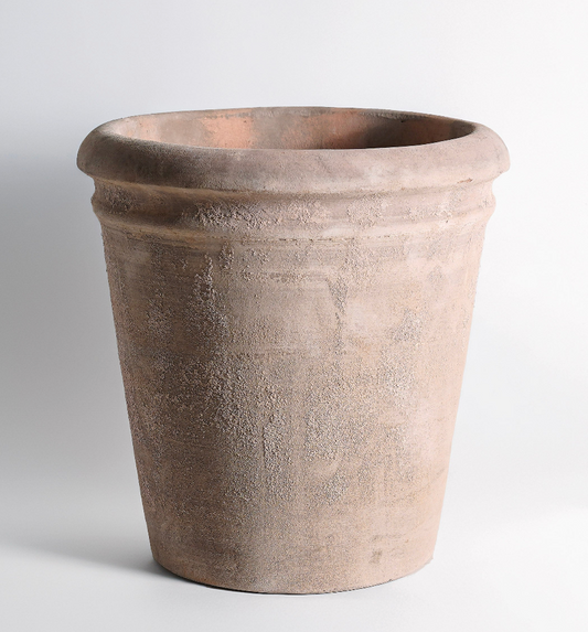 Largest Antique Terra Cotta Planter | Scratch & Dent
