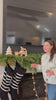 Luna Gold Bell Garland Holiday Decoration
