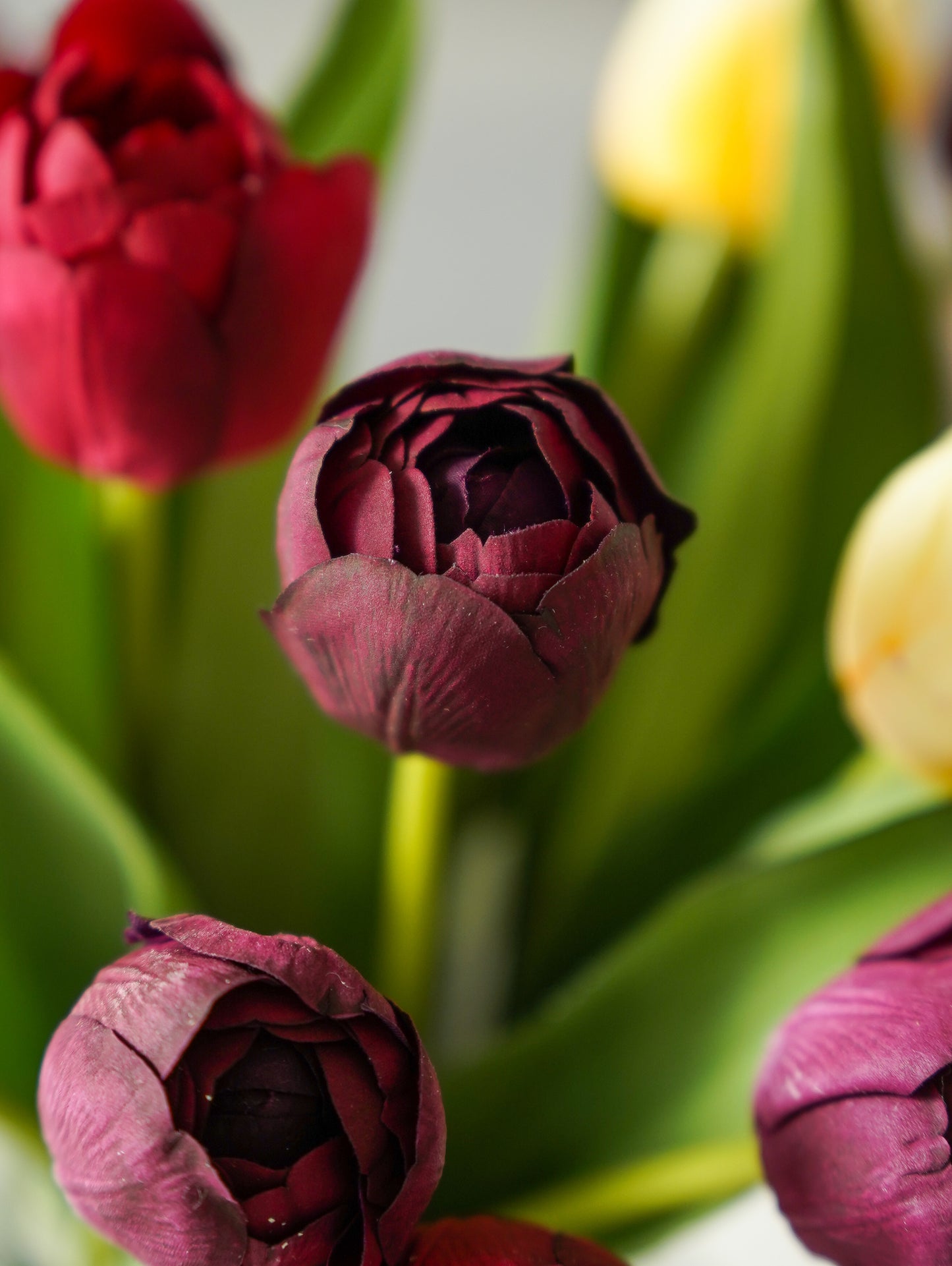 Real Touch Hybrid Tulip Bundle